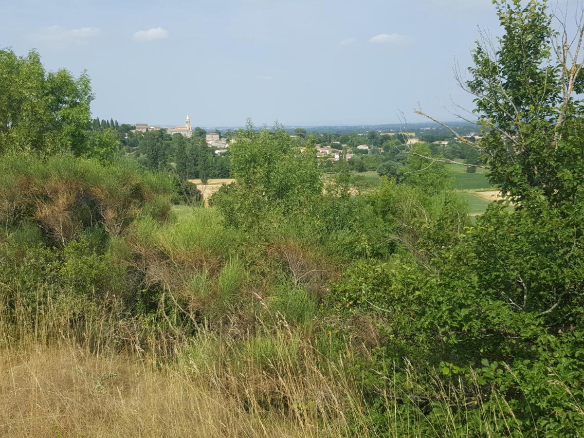 Gite Pourquoi Pas Montegut-Lauragais Eksteriør bilde
